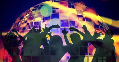 Disco Single Party Meppel, foto Pixabay