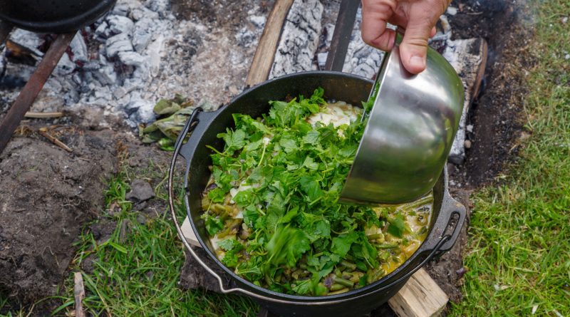 Koken op kampvuur In Het Wilde Weg, foto Bert Brassé