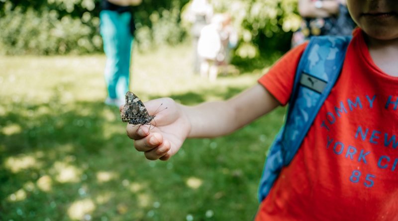 Insectensafari Drents-Friese Wold, foto Nander de Wijk Studio Haviq