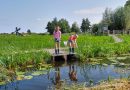 Waterdiertjes vangen De Wieden, foto Laurence Delderfield