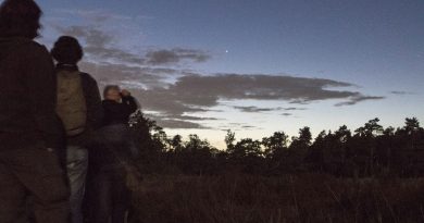 Sterren kijken, foto Staatsbosbeheer