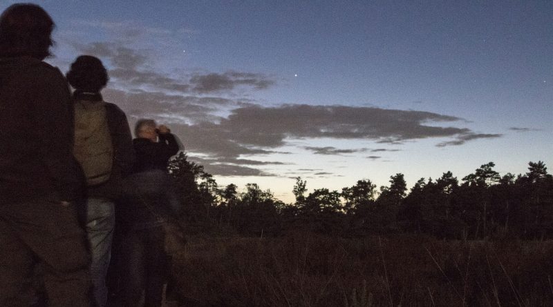 Sterren kijken, foto Staatsbosbeheer