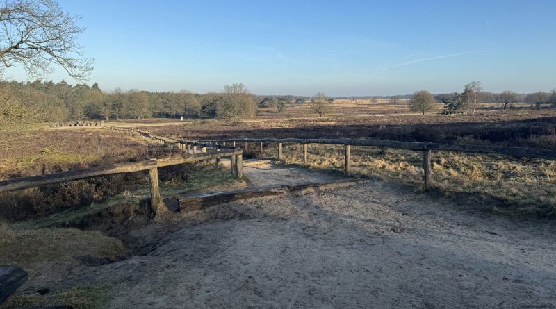 Havelterberg, foto aangeleverd door IVN Westerveld