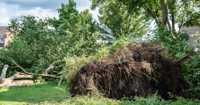 Stormschade Koedijkslanden augustus 2024, foto Leo de Harder