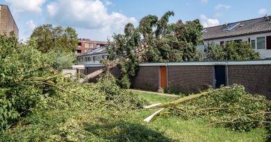 Stormschade Koedijkslanden augustus 2024, foto Leo de Harder