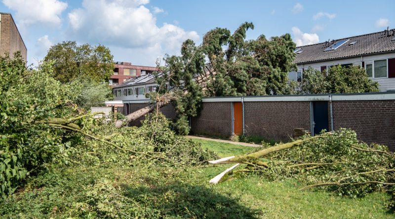 Stormschade Koedijkslanden augustus 2024, foto Leo de Harder