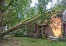 Stormschade Nijeveen augustus 2024, foto Leo de Harder