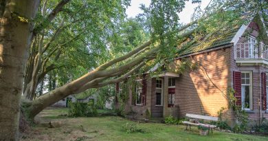 Stormschade Nijeveen augustus 2024, foto Leo de Harder