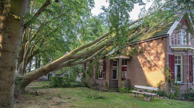 Stormschade Nijeveen augustus 2024, foto Leo de Harder