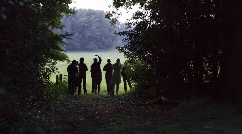 Vleermuis excursie IVN Westerveld