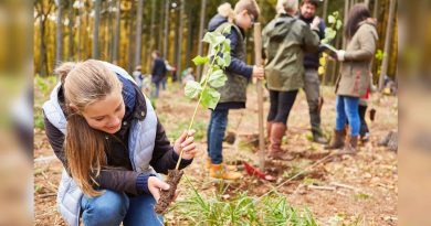 Duurzame Doe Week, Gemeente Meppel