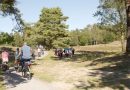 Fietsen in het Drents-Friese Wold, aangeleverde foto