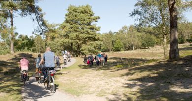 Fietsen in het Drents-Friese Wold, aangeleverde foto