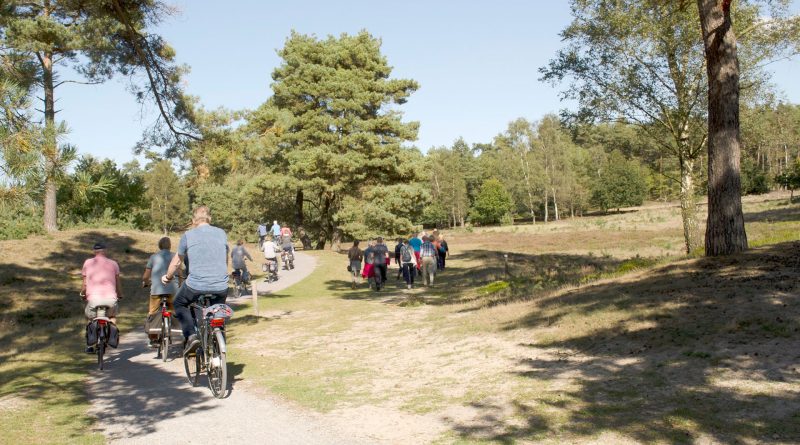 Fietsen in het Drents-Friese Wold, aangeleverde foto