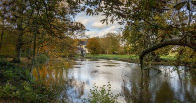 Landgoed De Horte, foto ©Gonny Sleurink