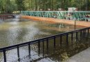 Waterloopbos Golfbak, foto Natuurmonumenten - Martyn Hamer