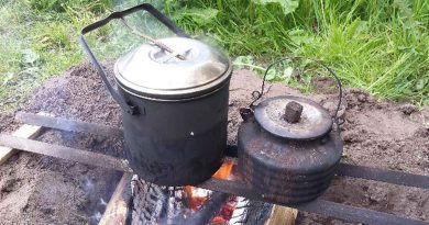 Koken met wilde planten, In het Wilde Weg