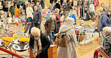 Vlooienmarkt De Meenthe Steenwijk, foto Thomas09