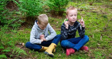 Bossafari Drents-Friese Wold, foto Laura Csonka