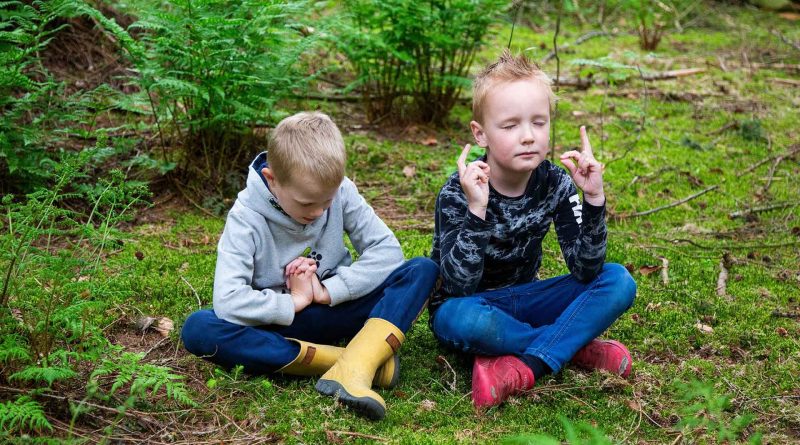 Bossafari Drents-Friese Wold, foto Laura Csonka