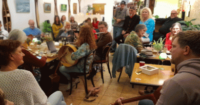 Ierse sessie in de Kunst en cultuursalon, foto rechtenvrij