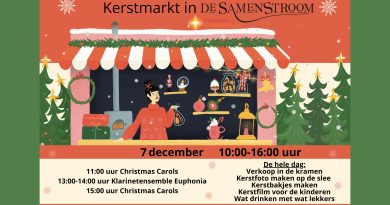 Kerstmarkt in de Samenstroom