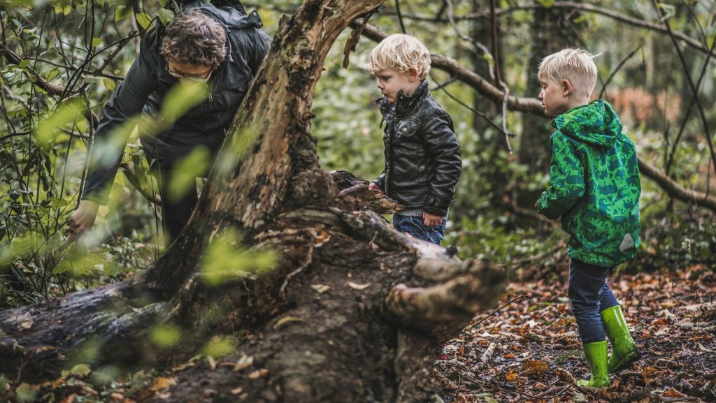 Knutselen in het Drents-Friese Wold, foto Ayla Maagdenberg Fotografie