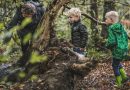 Knutselen in het Drents-Friese Wold, foto Ayla Maagdenberg Fotografie