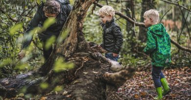 Knutselen in het Drents-Friese Wold, foto Ayla Maagdenberg Fotografie